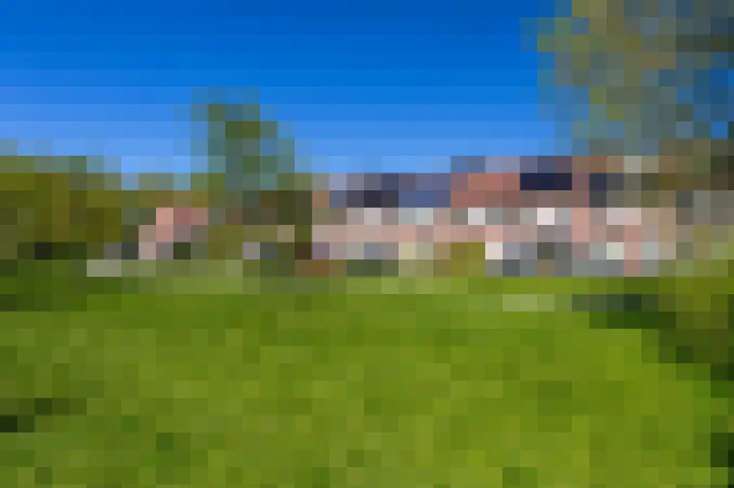 Nachtegaal 100 Hoorn thumbnail 56