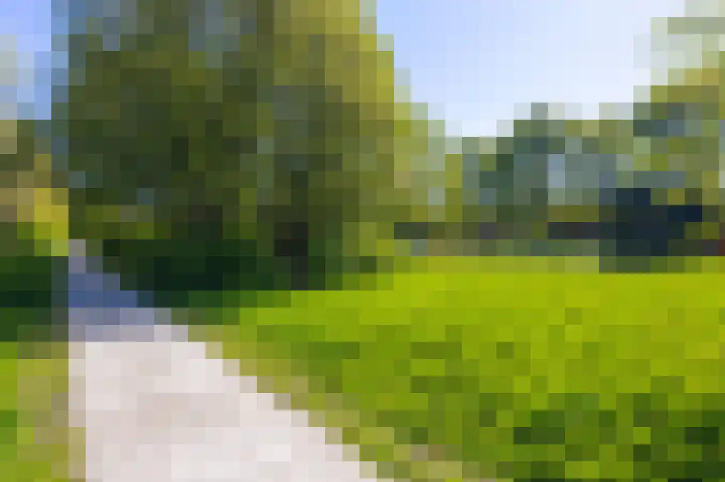 Nachtegaal 100 Hoorn thumbnail 57