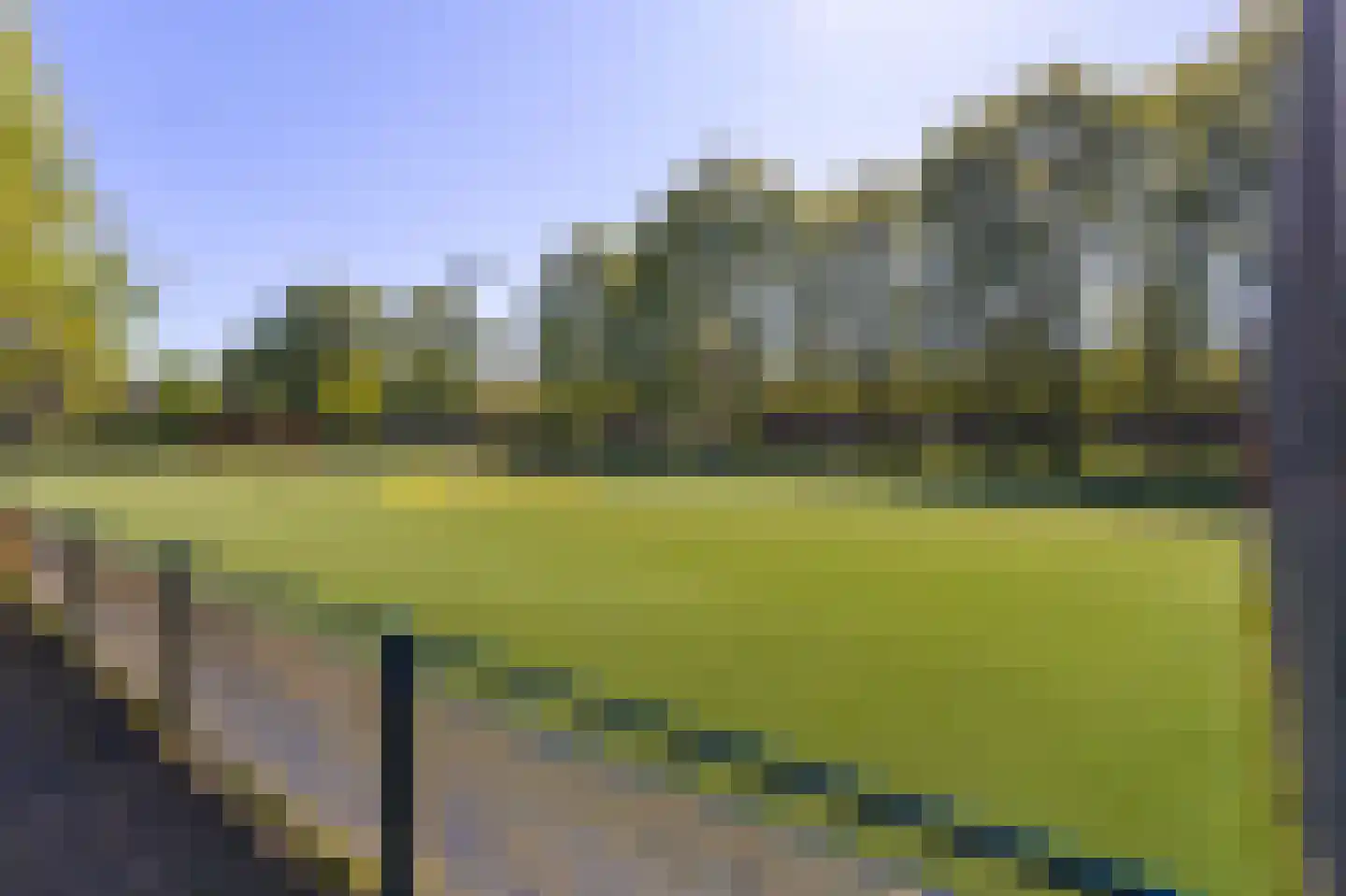 Nachtegaal 100 Hoorn thumbnail 58
