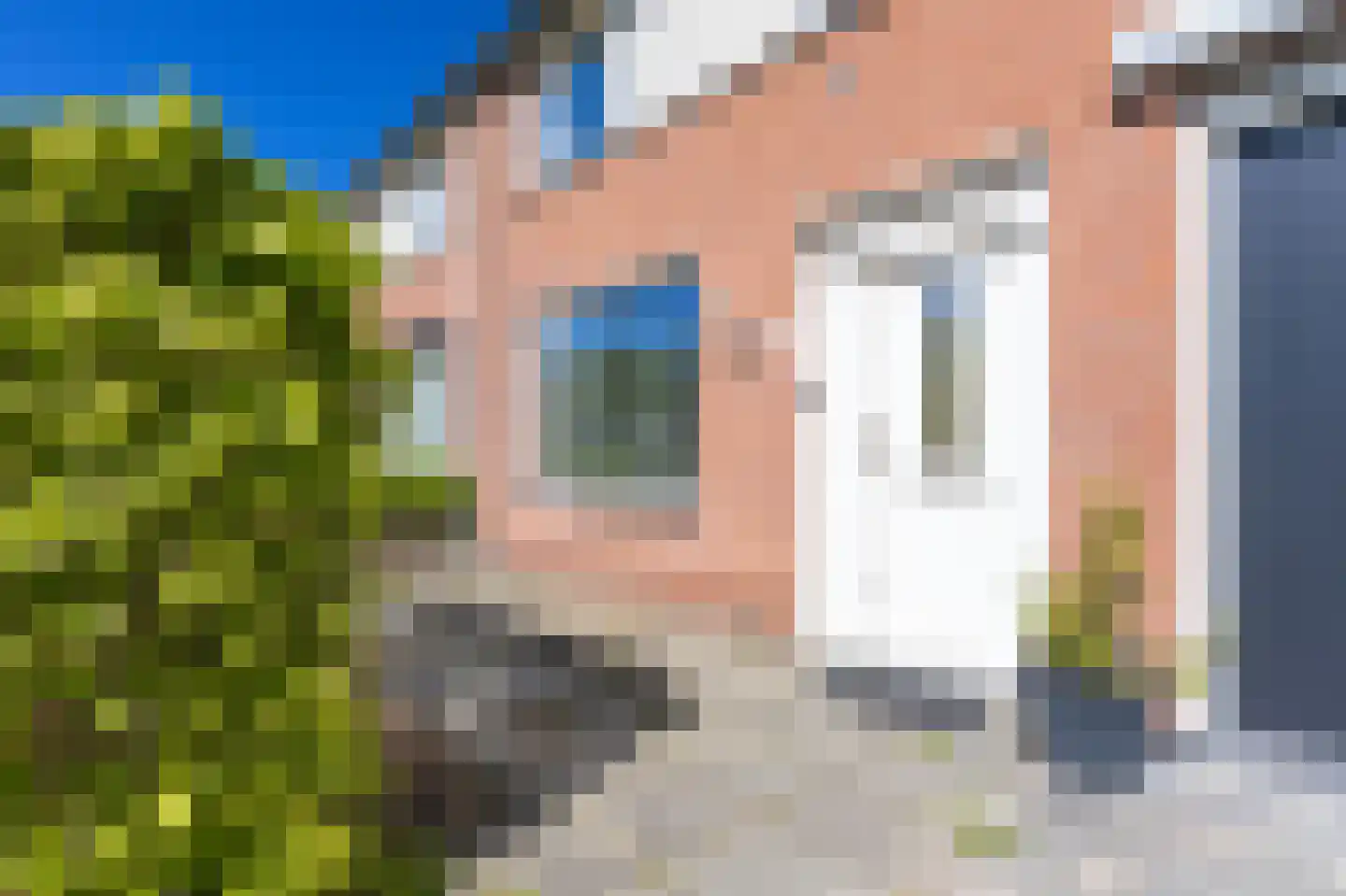 Nachtegaal 100 Hoorn thumbnail 6