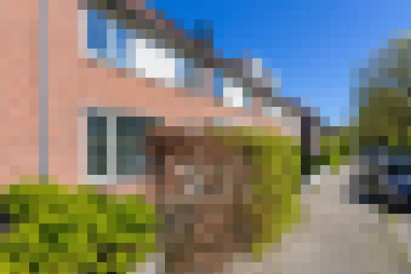 Nachtegaal 100 Hoorn thumbnail 7