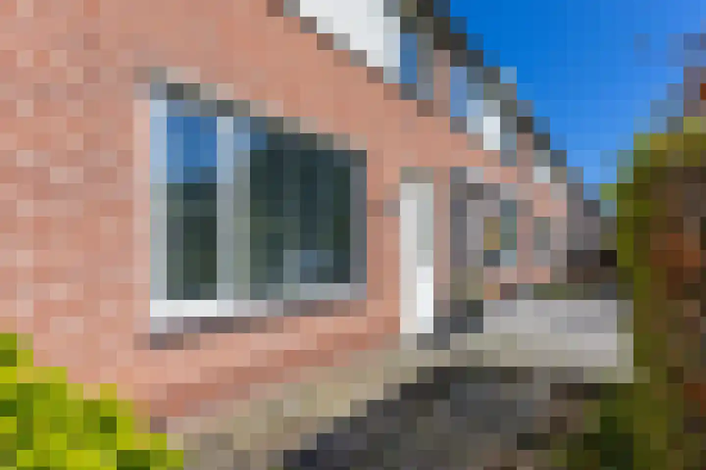 Nachtegaal 100 Hoorn thumbnail 8