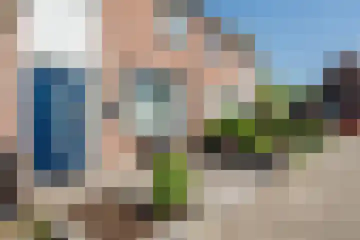Nachtegaal 114 Hoorn thumbnail 5