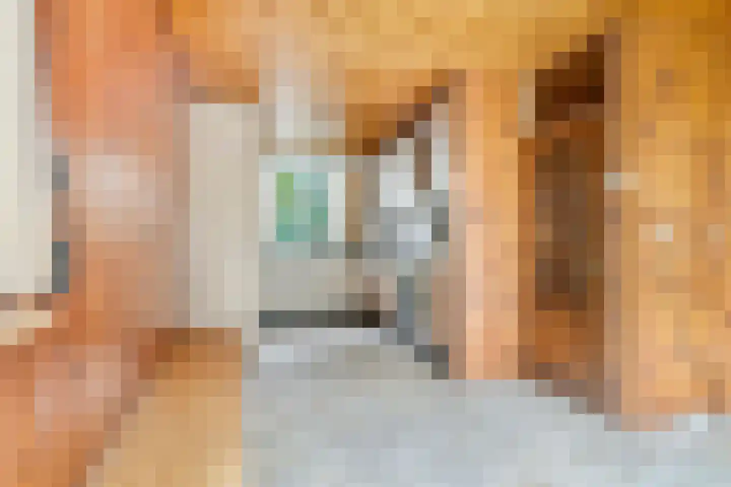 Nachtegaal 12 Hoogvliet Rotterdam thumbnail 13