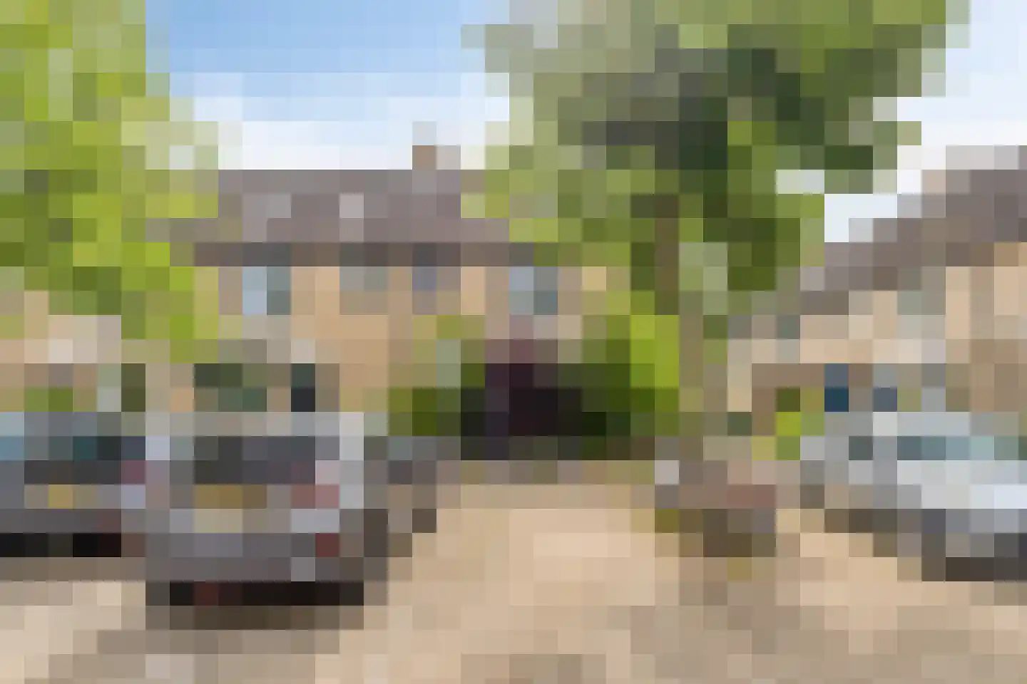 Nachtegaal 12 Hoogvliet Rotterdam thumbnail 6