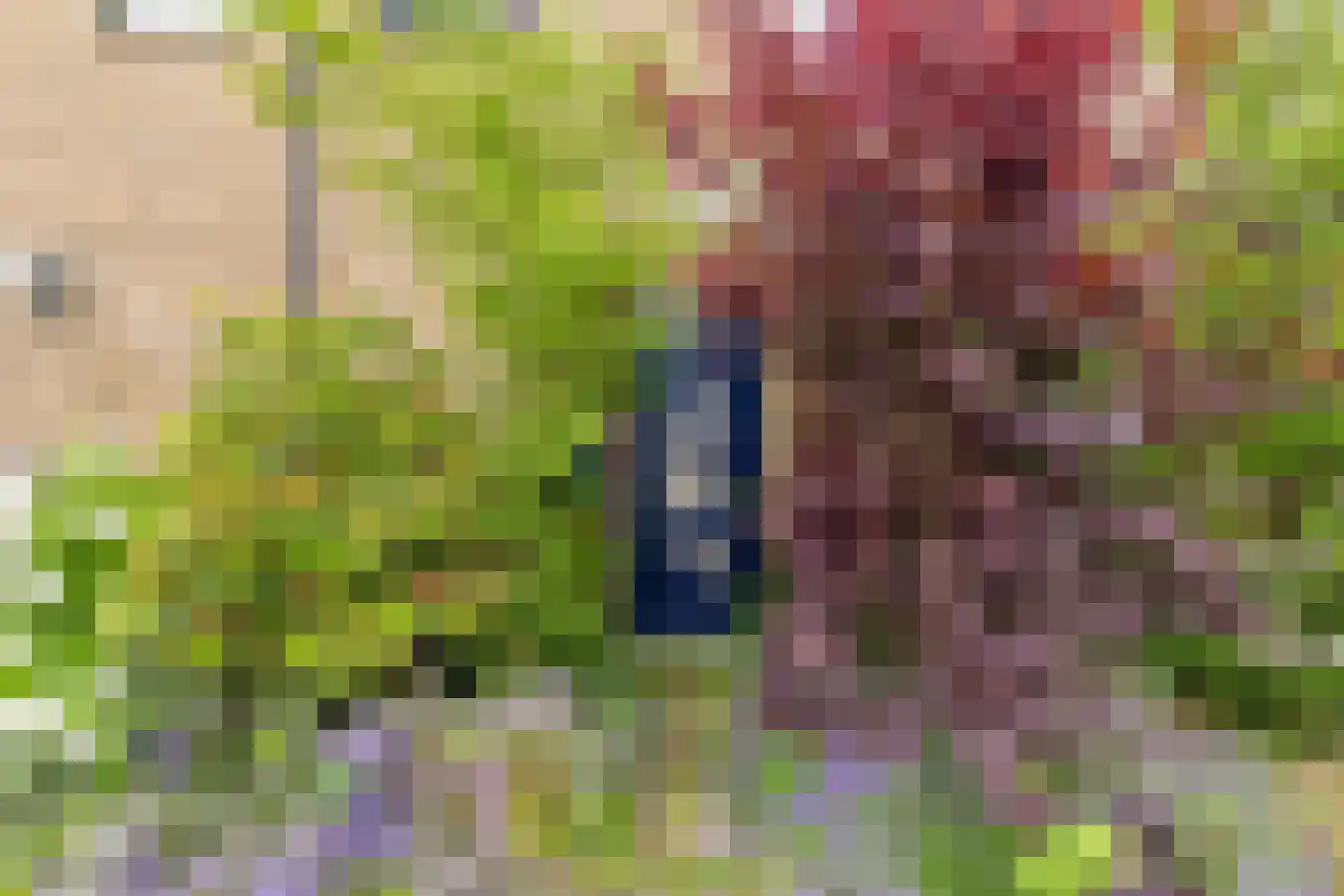Nachtegaal 12 Hoogvliet Rotterdam thumbnail 7