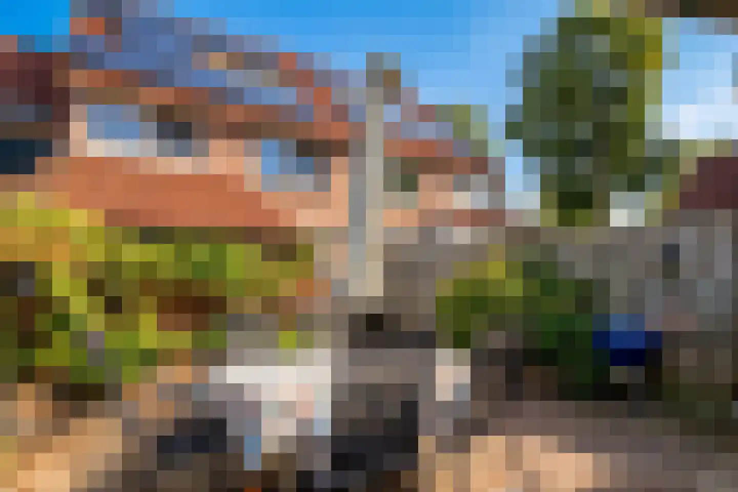Nachtegaal 12 Hoorn thumbnail 16