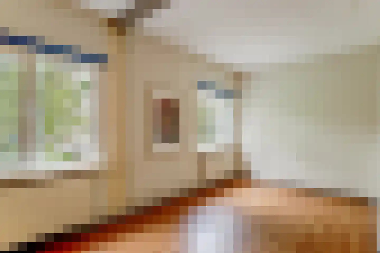 Nachtegaal 12 Hoorn thumbnail 20