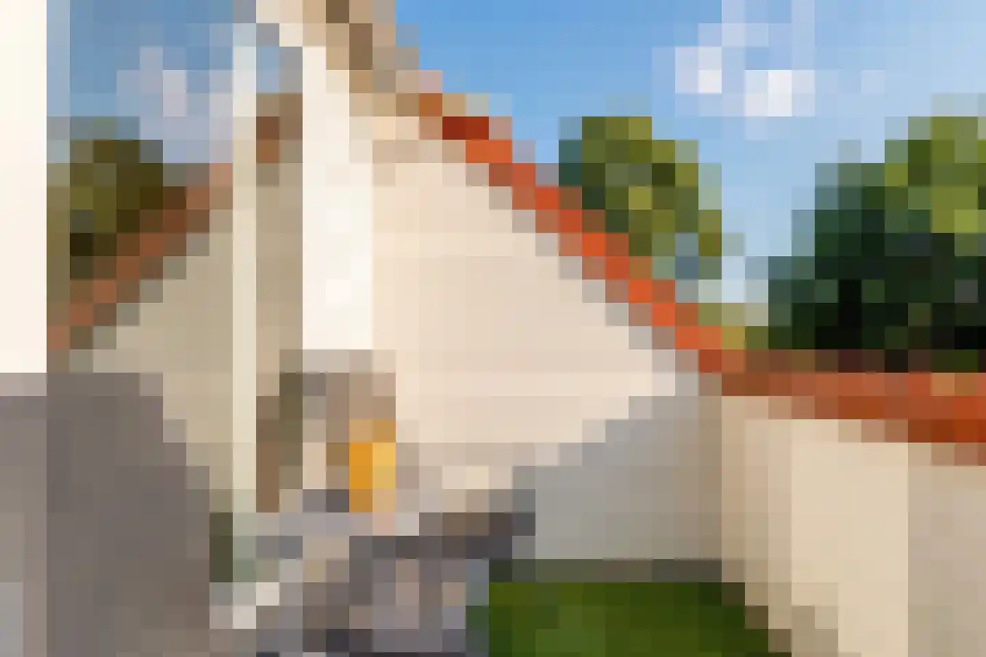 Nachtegaal 12 Hoorn thumbnail 32