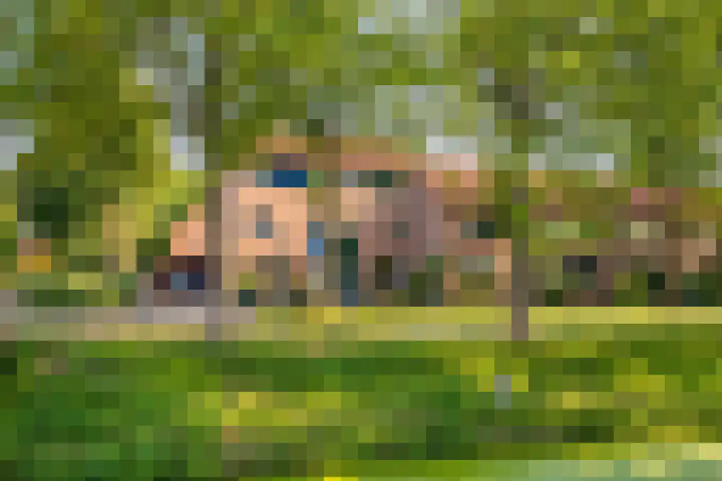 Nachtegaal 12 Hoorn thumbnail 33