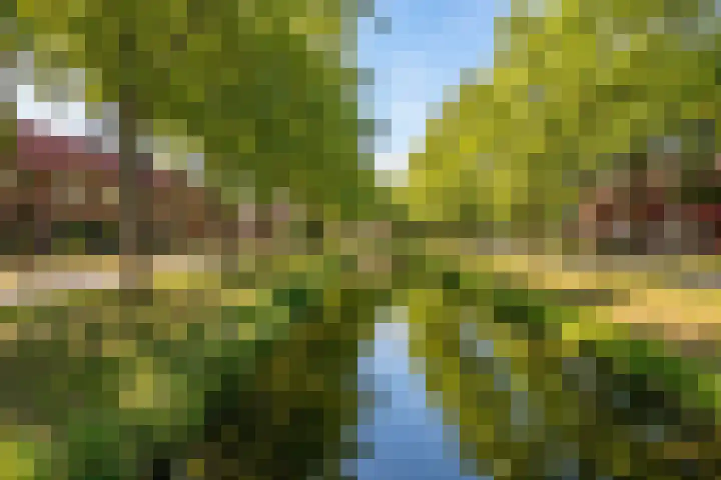 Nachtegaal 12 Hoorn thumbnail 34