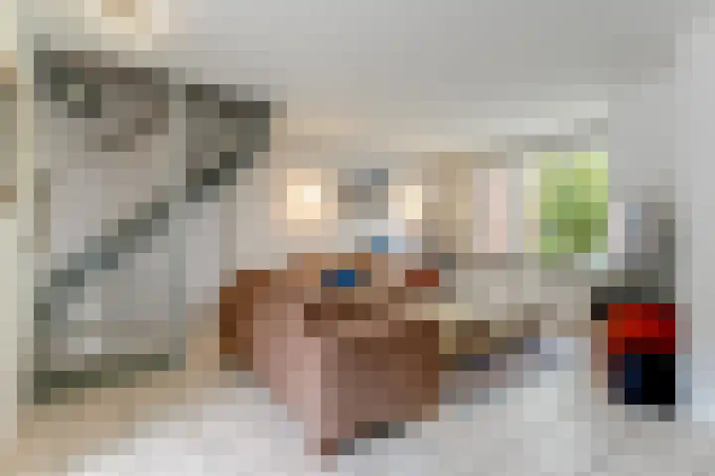 Nachtegaal 12 Hoorn thumbnail 4