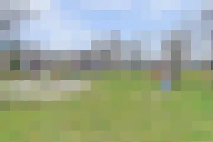 Nachtegaal 13 Ermelo thumbnail 32