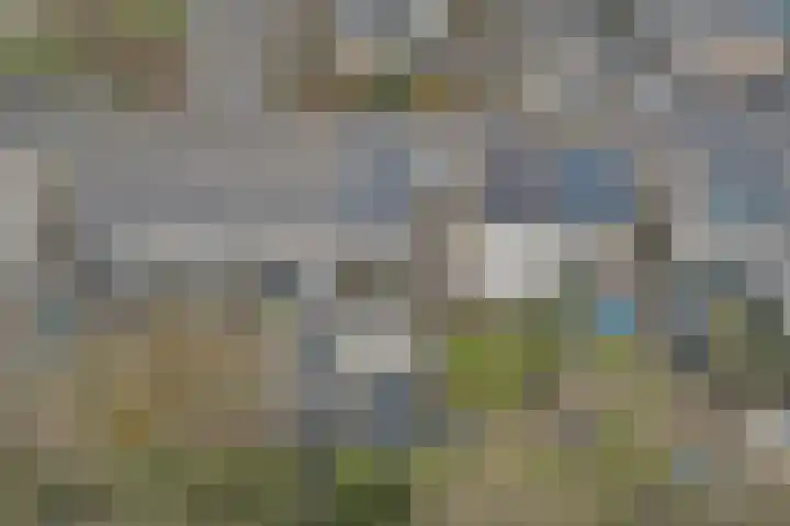 Nachtegaal 13 Ermelo thumbnail 38