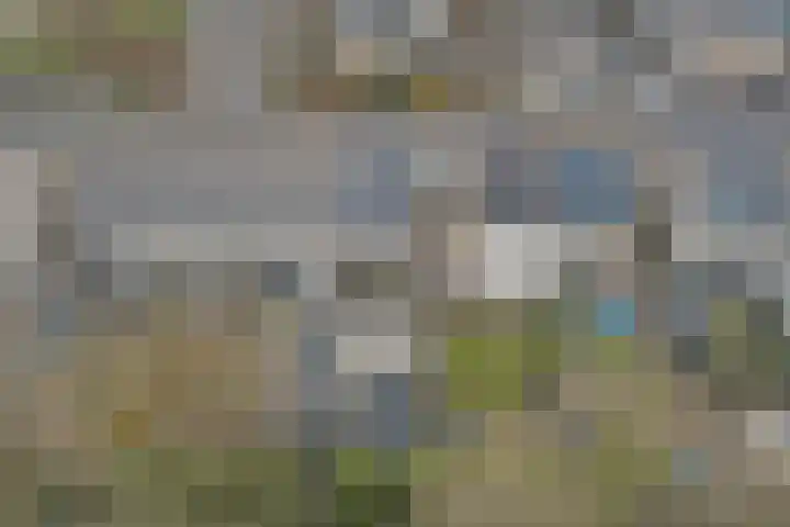 Nachtegaal 13 Ermelo thumbnail 40
