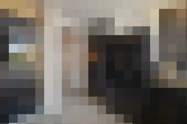 Nachtegaal 15 Raalte thumbnail 10