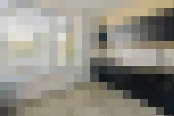 Nachtegaal 15 Raalte thumbnail 11