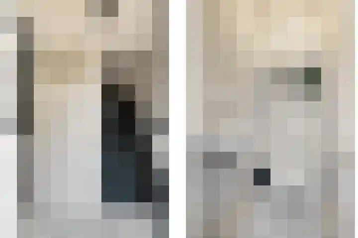 Nachtegaal 15 Raalte thumbnail 13