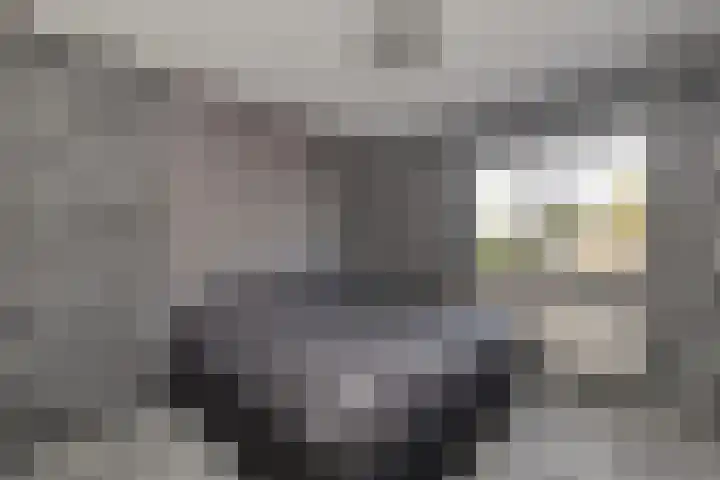 Nachtegaal 15 Raalte thumbnail 14