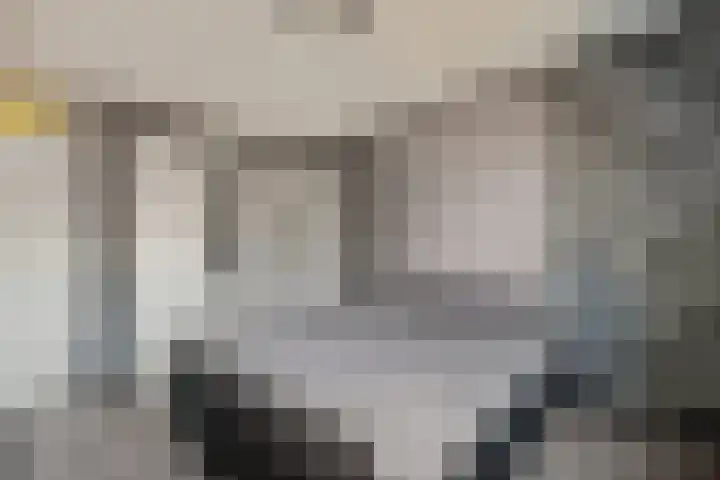 Nachtegaal 15 Raalte thumbnail 15