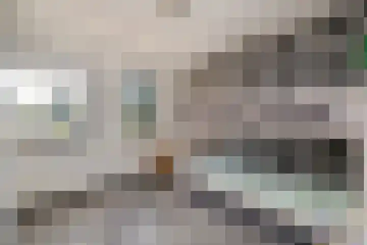 Nachtegaal 15 Raalte thumbnail 18