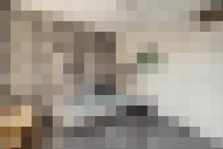 Nachtegaal 15 Raalte thumbnail 19