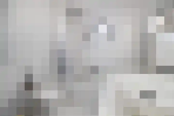 Nachtegaal 15 Raalte thumbnail 20