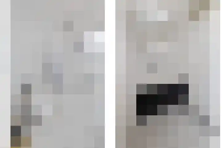 Nachtegaal 15 Raalte thumbnail 21