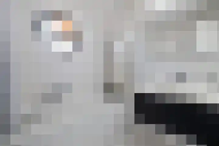 Nachtegaal 15 Raalte thumbnail 22
