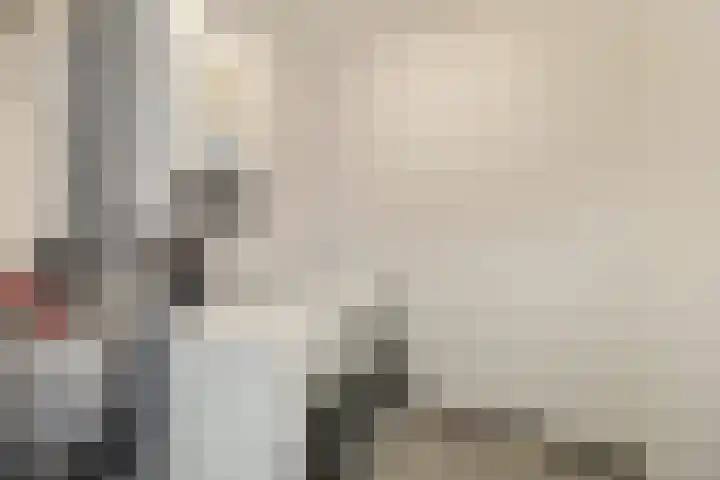 Nachtegaal 15 Raalte thumbnail 23