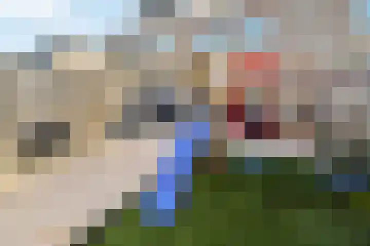 Nachtegaal 15 Raalte thumbnail 25