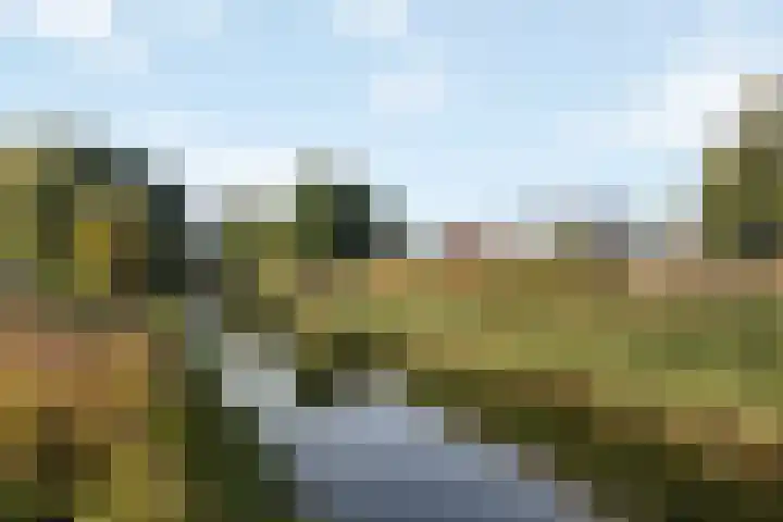 Nachtegaal 15 Raalte thumbnail 29