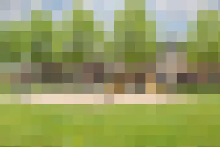 Nachtegaal 15 Raalte thumbnail 30