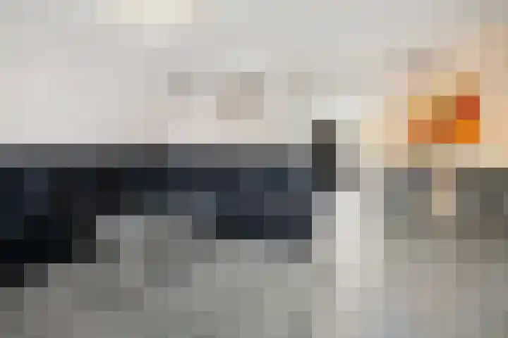 Nachtegaal 15 Raalte thumbnail 5