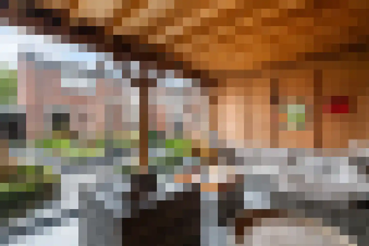 Nachtegaal 15 Weert thumbnail 37