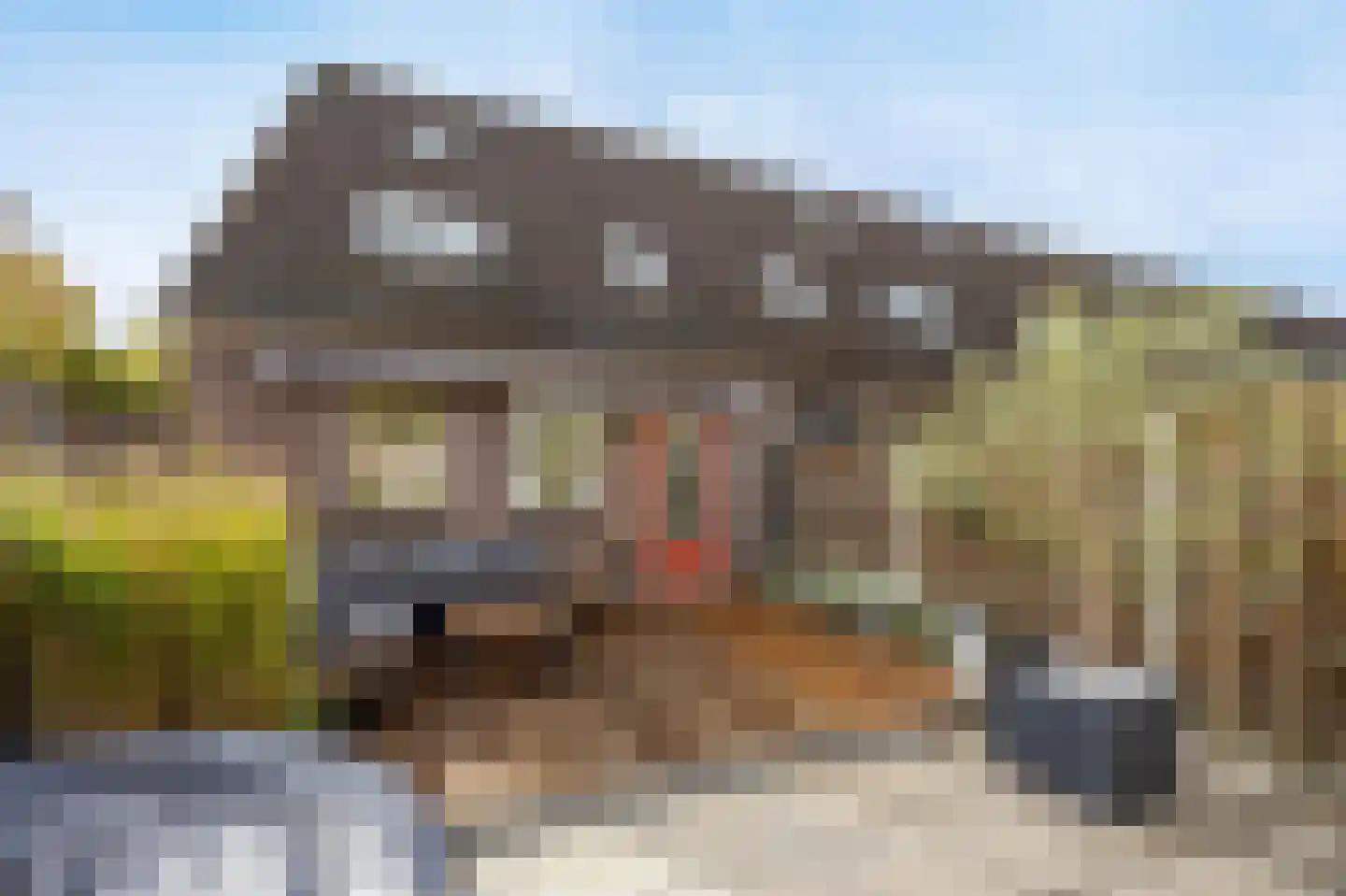 Nachtegaal 175 Etten-Leur thumbnail 42