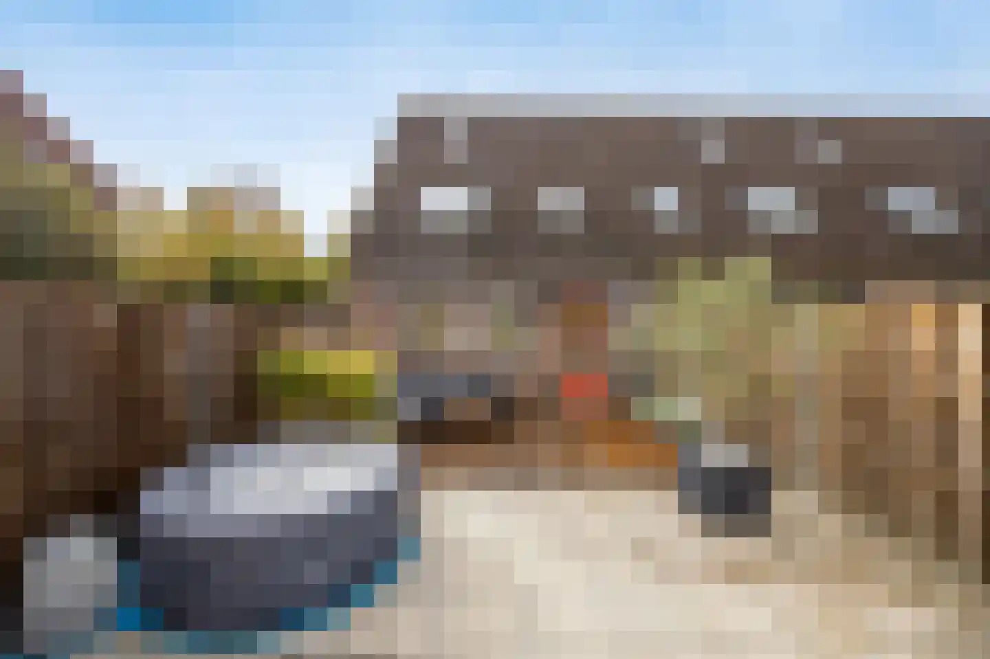 Nachtegaal 175 Etten-Leur thumbnail 44