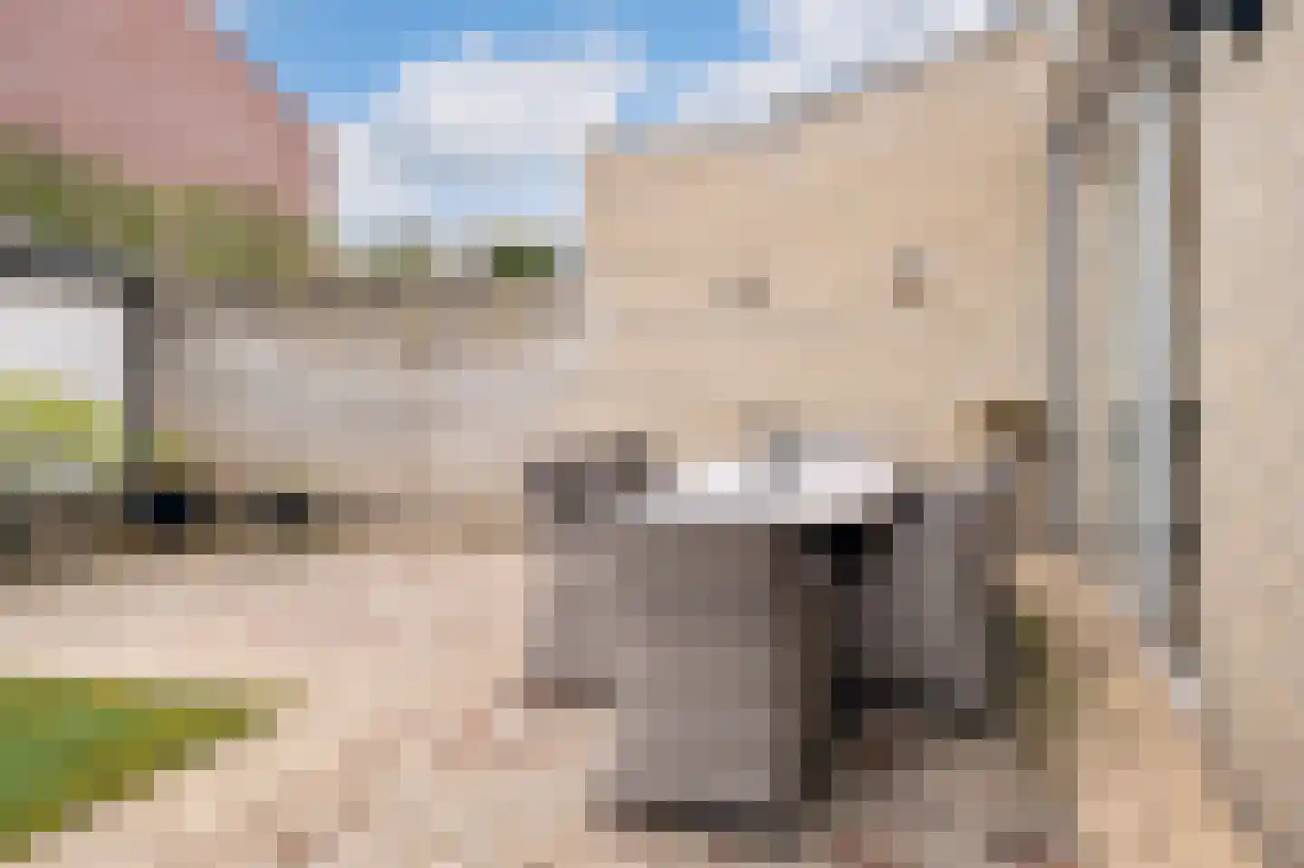 Nachtegaal 20 Sint-Oedenrode thumbnail 26
