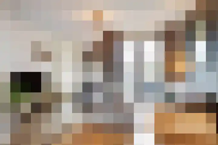 Nachtegaal 25 Bladel thumbnail 10