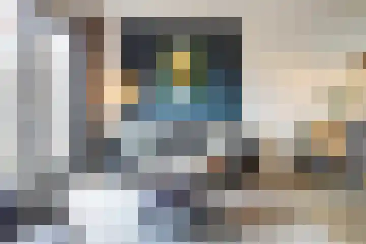 Nachtegaal 25 Bladel thumbnail 11