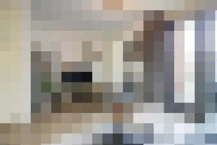 Nachtegaal 25 Bladel thumbnail 12