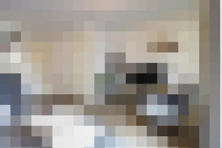 Nachtegaal 25 Bladel thumbnail 13