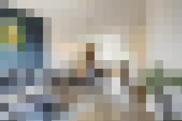 Nachtegaal 25 Bladel thumbnail 15