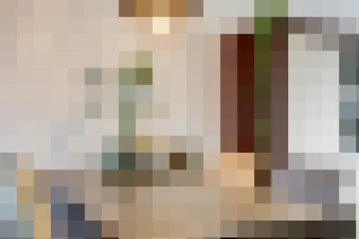 Nachtegaal 25 Bladel thumbnail 17