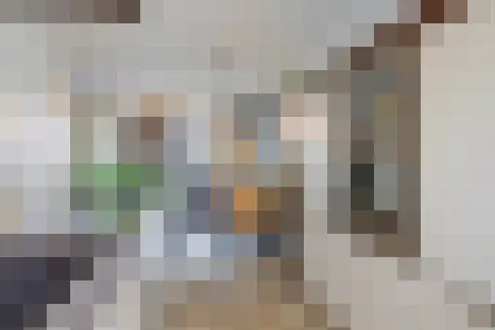 Nachtegaal 25 Bladel thumbnail 19