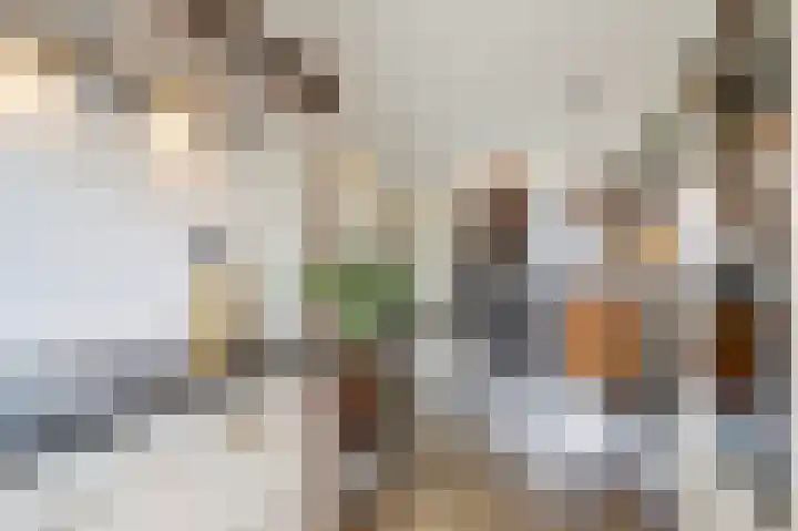 Nachtegaal 25 Bladel thumbnail 20