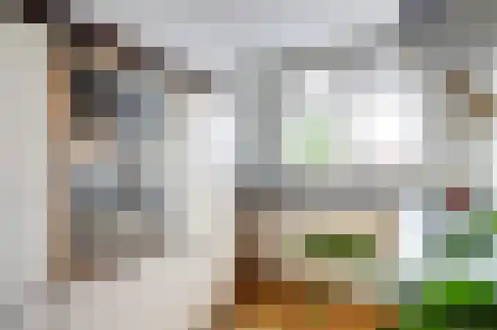 Nachtegaal 25 Bladel thumbnail 22