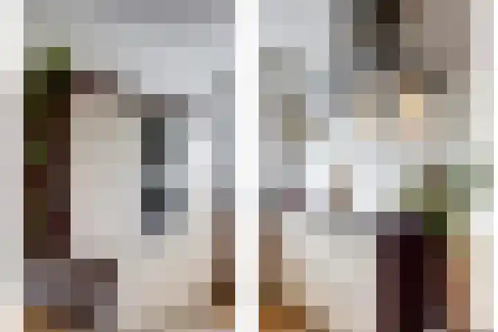 Nachtegaal 25 Bladel thumbnail 23