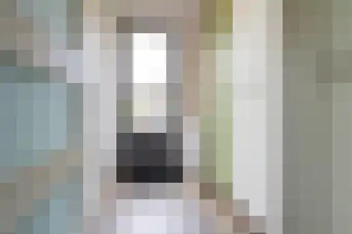 Nachtegaal 25 Bladel thumbnail 24