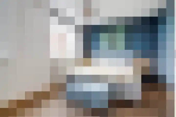 Nachtegaal 25 Bladel thumbnail 26